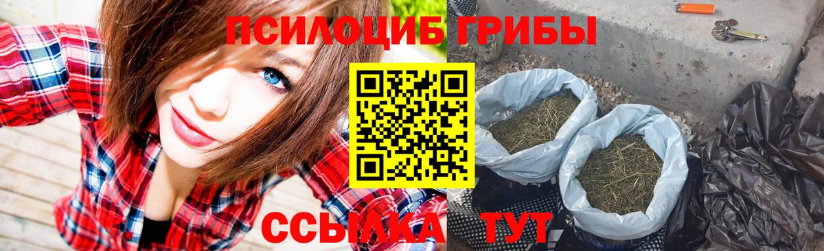 Псилоцибиновые грибы мухоморы Касимов